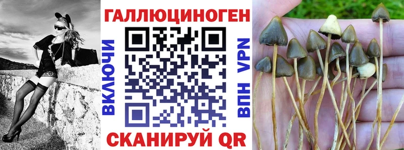 Галлюциногенные грибы Psilocybe Суоярви